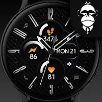 Carbon Classy Watch Face