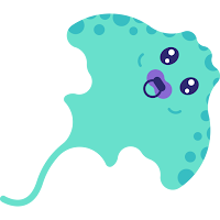 Baby Raia