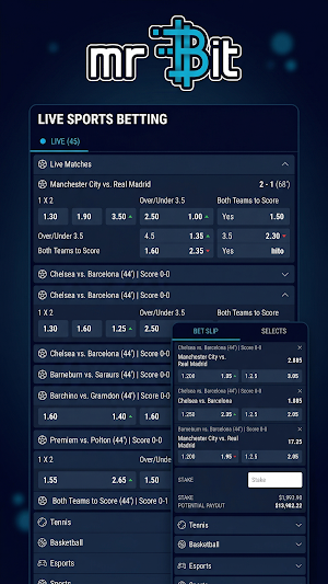 Mr Bit Screenshot 2