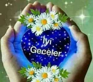 Iyi geceler Screenshot 0