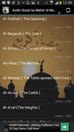 Audio Quran Maher Al Muaiqly Screenshot 0