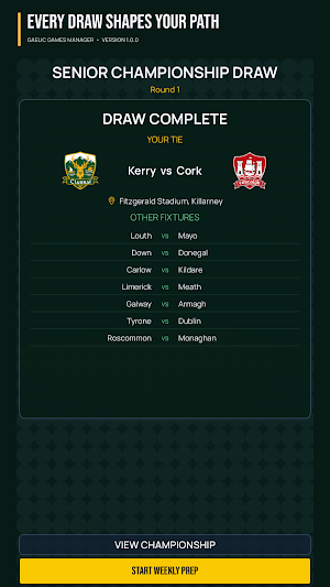 Gaelic Games Manager: Football Screenshot 3