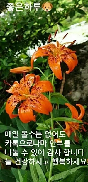 좋은하루 인사말 이미지가 포함된 사진 좋은 아침 문구 Screenshot 1