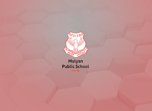 Mulyan Public School Screenshot 1