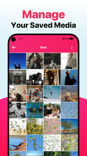Media Utility: InSave Screenshot 2