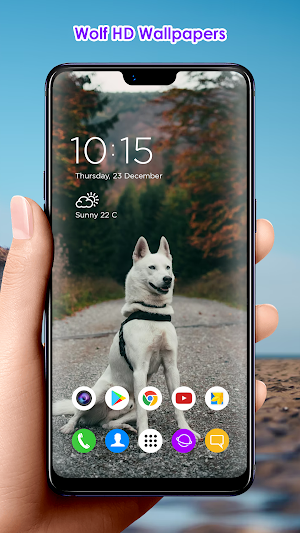 Wolf HD Wallpapers Screenshot 3