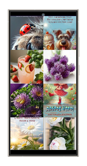 Good Morning Postcards Screenshot 1