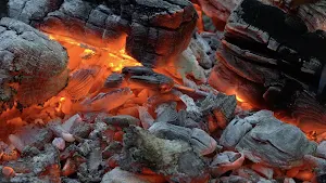Luxury Fireplace Screenshot 2