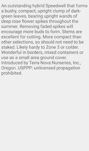 Veronica Aspire Screenshot 2