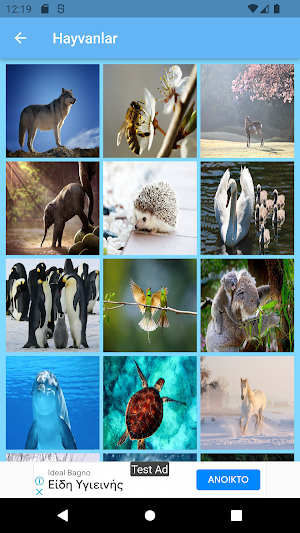 Wallpapers Phone Tablet Screenshot 2