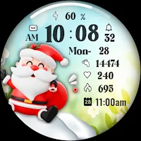 Winter Santa Seasonal Flower