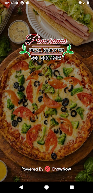 Panorama Pizza Screenshot 0