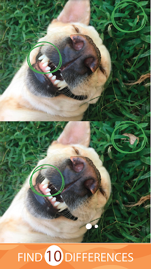 Spot Difference in 2 Pictures Screenshot 3