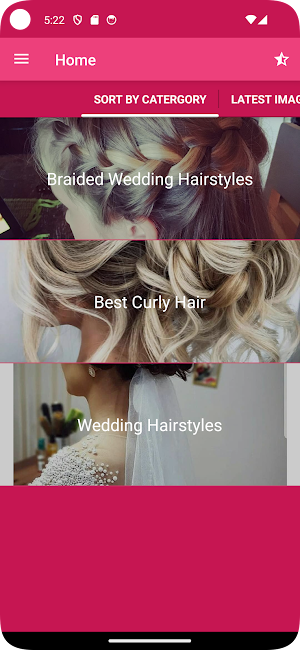 Wedding Hairstyle Step By Step Screenshot 1