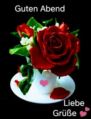 Guten Abend Screenshot 1
