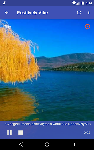 Radio Relax Sleep - True Relaxation Music Screenshot 3