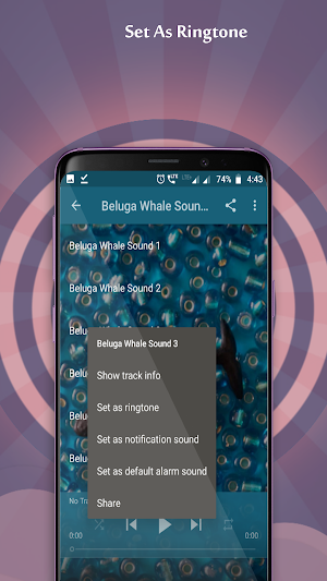 Beluga Whale Sounds Screenshot 1