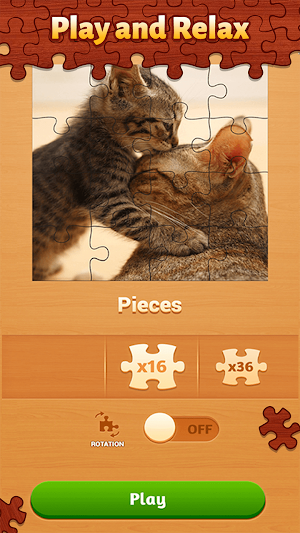 Jigsaw Puzzle Master Screenshot 3