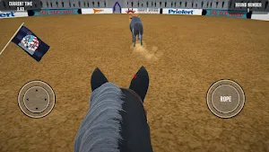 Team Roping Screenshot 2