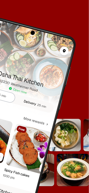 Osha Thai Kitchen Screenshot 1