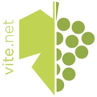 vite.net