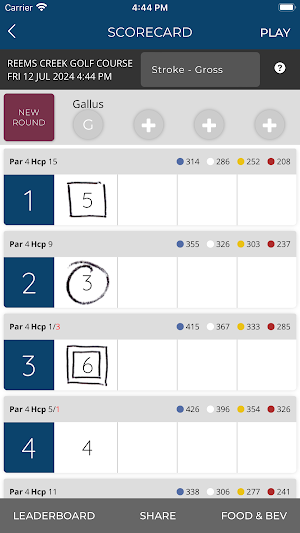 Reems Creek Golf Course Screenshot 2