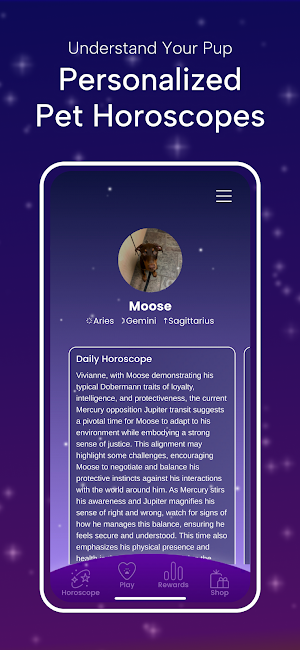 moonpaws Screenshot 1