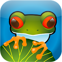 Jumpy Frogs