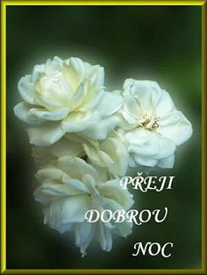 dobrou noc Screenshot 0