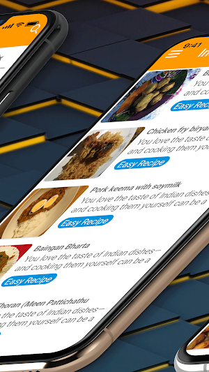 Indian Recipes Offline Screenshot 2