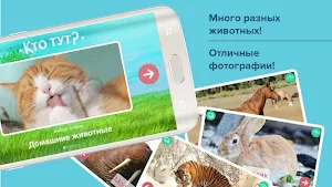 Карточки с животными для детей Screenshot 0