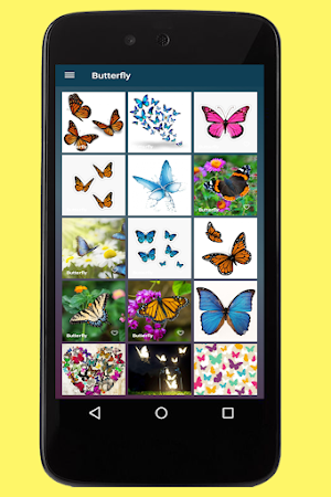 Butterfly Images Screenshot 1