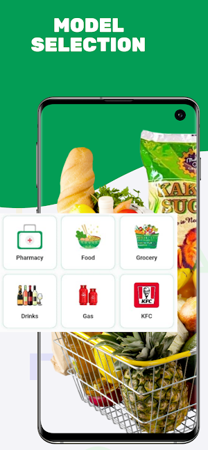 Pixus Food Screenshot 0
