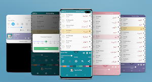 Hani Ar Rifai - Full Offline Quran MP3 Screenshot 0
