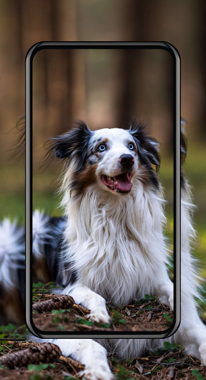 Cute Puppies Wallpapers Screenshot 1