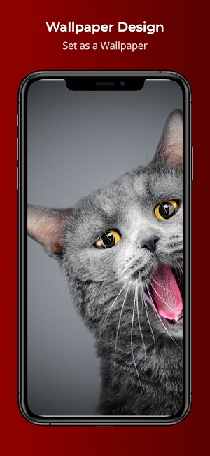 Wallpaper Design Screenshot 0