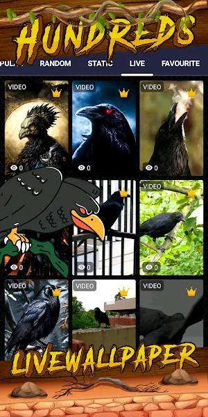 crow wallpaper Screenshot 2