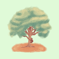 Spotter - Nature Identifier
