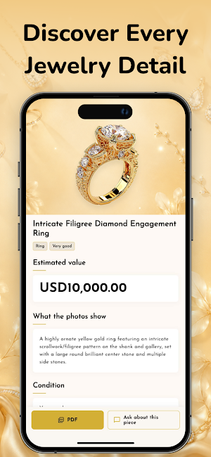 Jewelry Identifier: JewelSight Screenshot 2