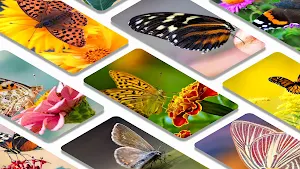 Butterfly wallpaper background Screenshot 1