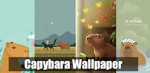 Capybara Wallpaper HD 4K Photo Screenshot 0