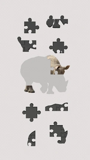 Jigsaw Jam Screenshot 1
