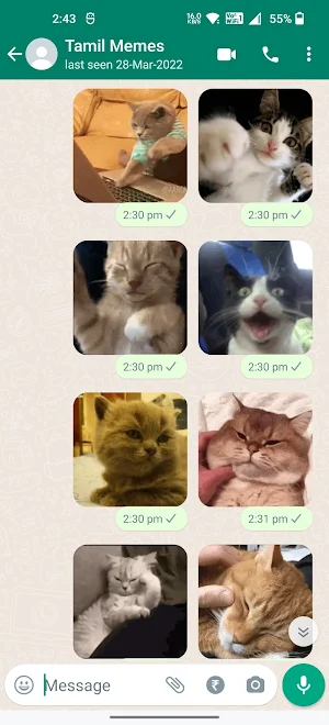 Cat Animated Stickers Screenshot 1
