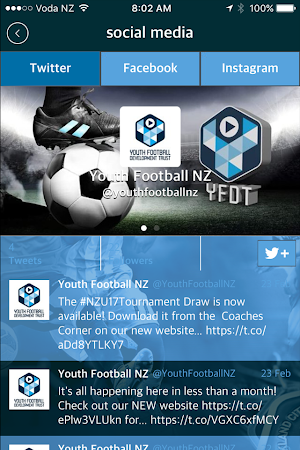 U17 Youth Tournament Screenshot 2