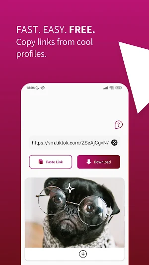 Video Downloader for TikTok Screenshot 0