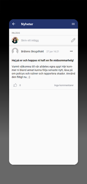Bråtens Skogsfrakt Screenshot 1