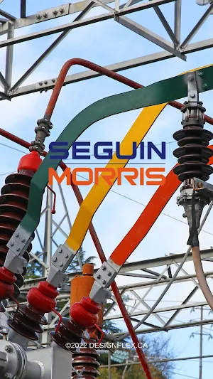 Seguin Morris Screenshot 0