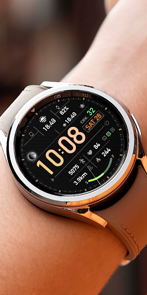 Digital FRAN Watch face Screenshot 1