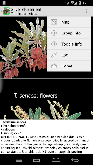 eTrees of Southern Africa Lite Screenshot 2