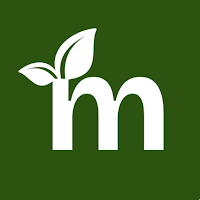 Moneywise: Save, Invest & Grow